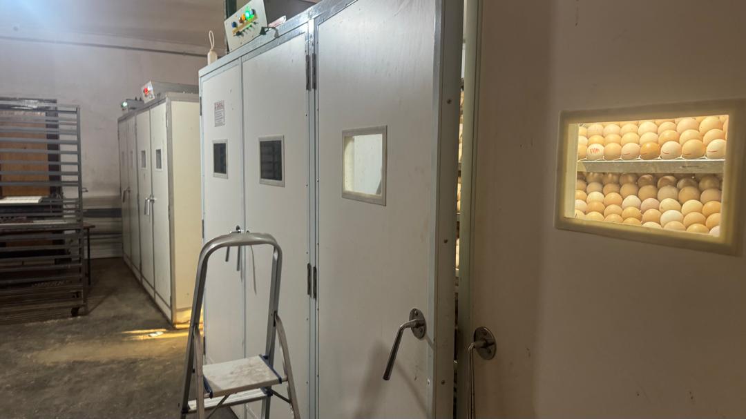 NutroServ Ventures Ltds