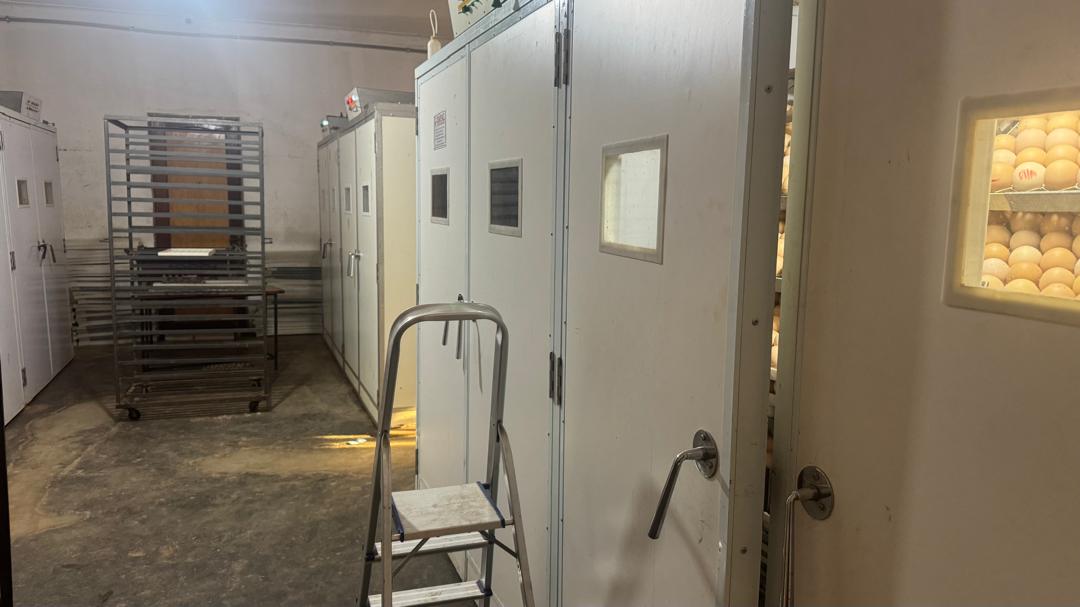 NutroServ Ventures Ltds